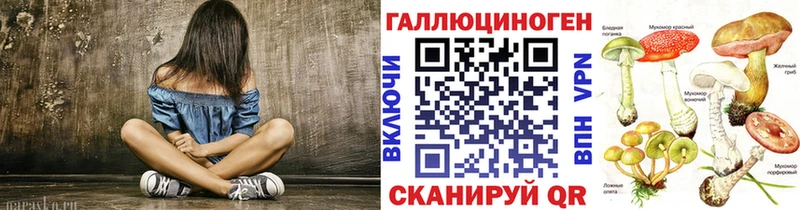 Галлюциногенные грибы Psilocybine cubensis  ОМГ ОМГ как войти  Михайлов 
